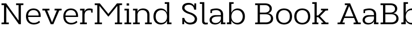 NeverMind Slab Book font