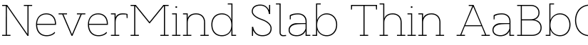 NeverMind Slab Thin font
