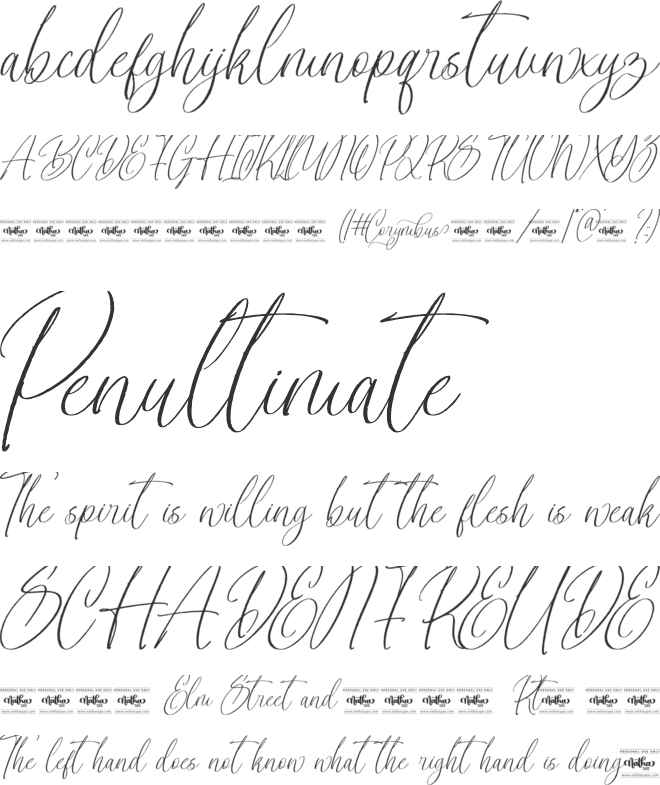 Corymbus Personal Use font preview
