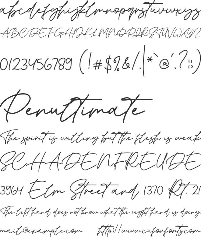 Brinton Signature font preview