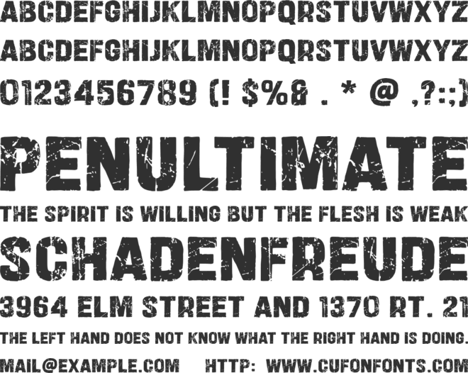 Get Now font preview