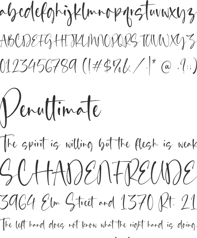 Classy Feathers font preview