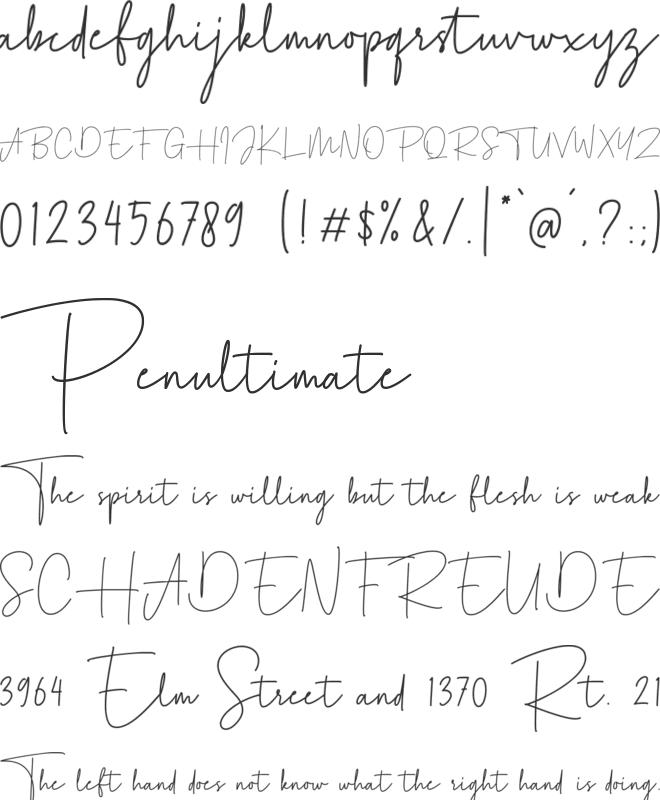 Agustine Signature font preview