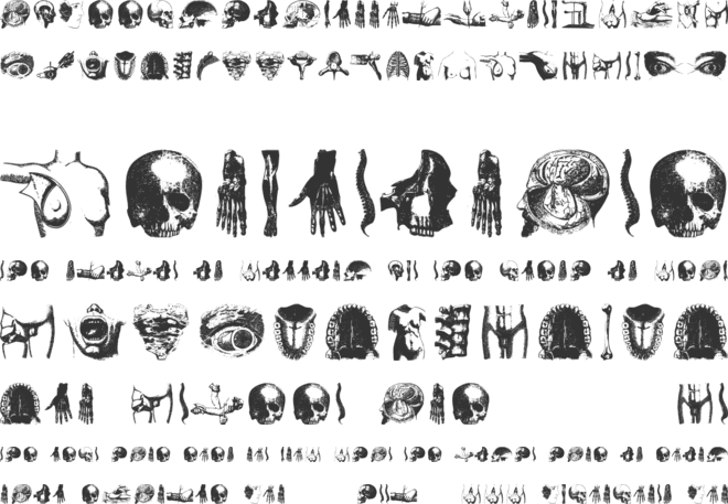 AnatomiaDigbats font preview