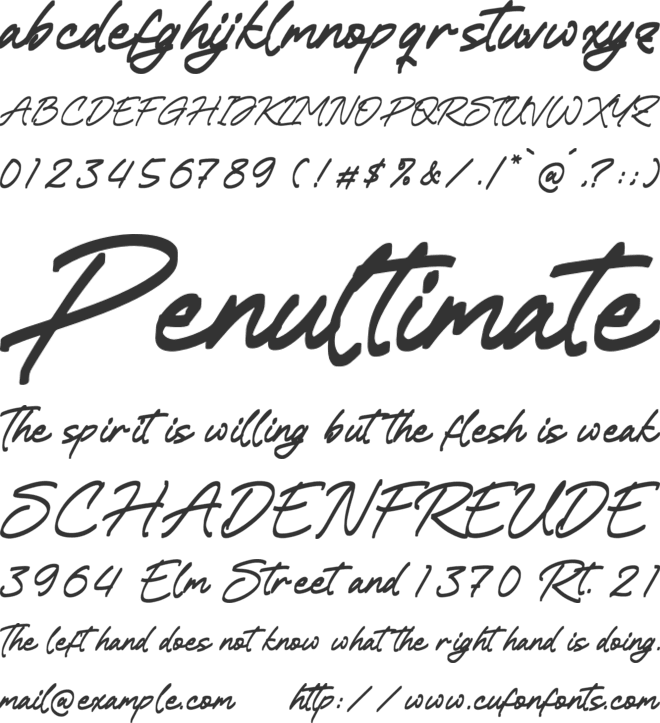 Juditha Hollden font preview