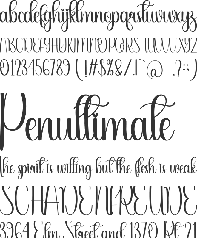 Overlay font preview