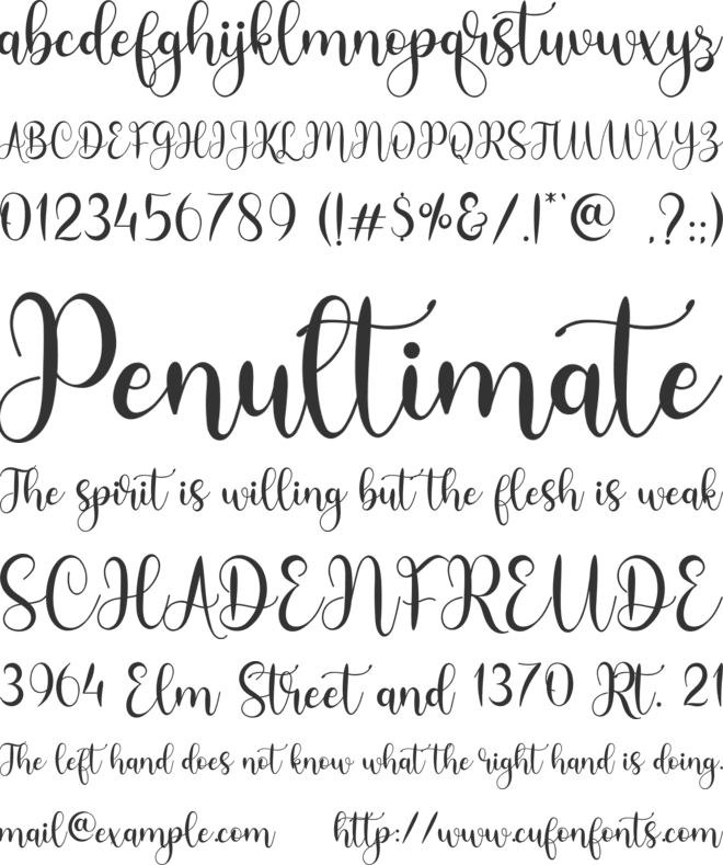 Holly font preview