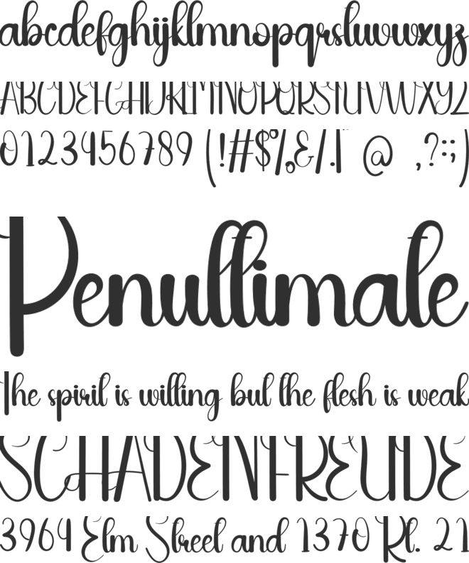 Nightday font preview