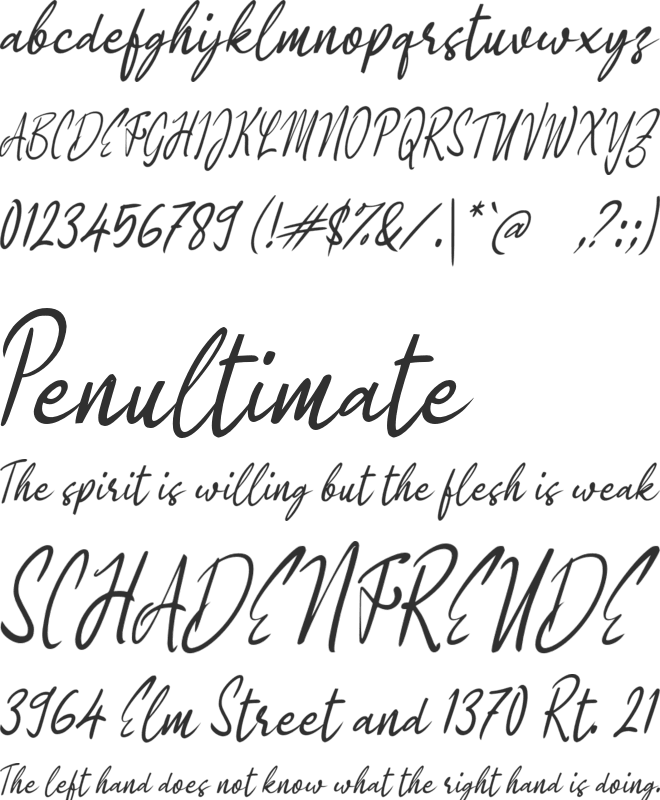 i Iso Signature Script font preview