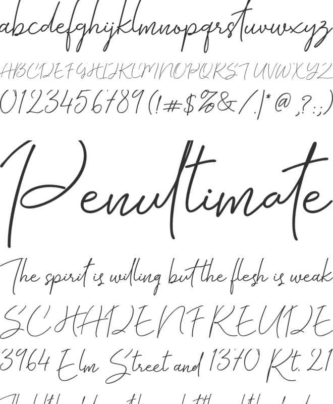 Blossoming Constellation free font preview