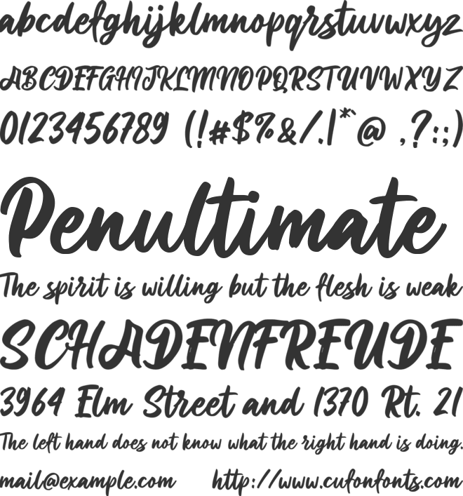 Allisya font preview