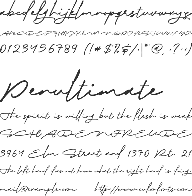 Biography Ink font preview