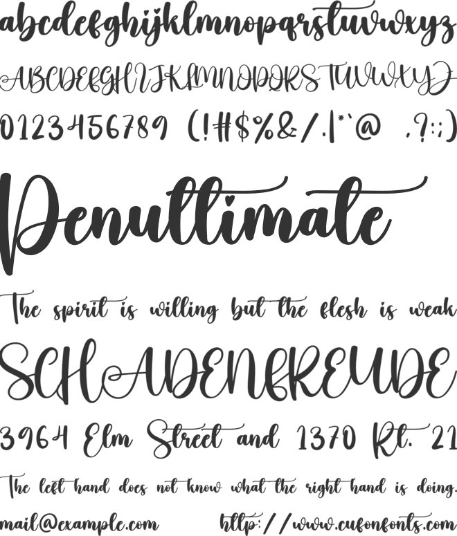 School font preview
