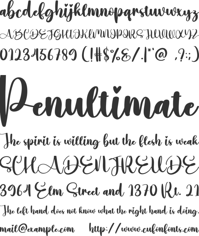 Written font preview