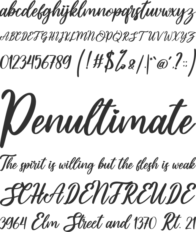 Asttuty font preview