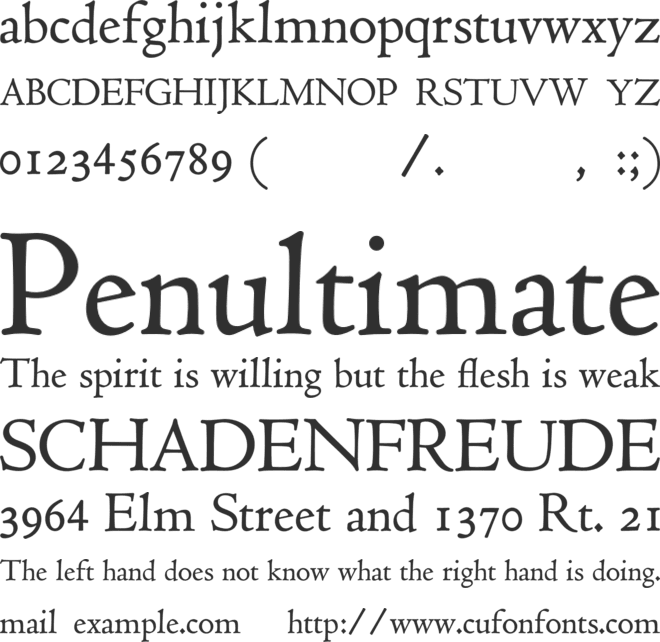 Museum Bible font preview