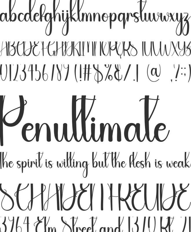 Bible Study font preview