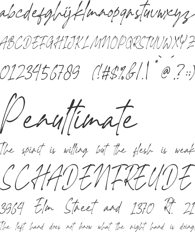 Zaxelton font preview