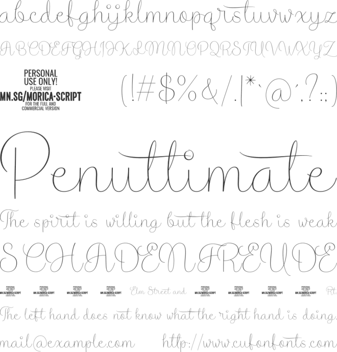 Morica Script PERSONAL USE font preview