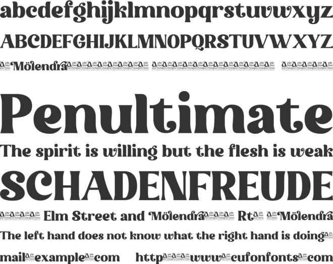 Molendra font preview