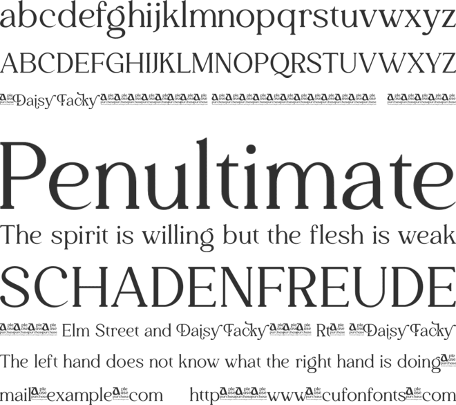 Daisy Tacky font preview