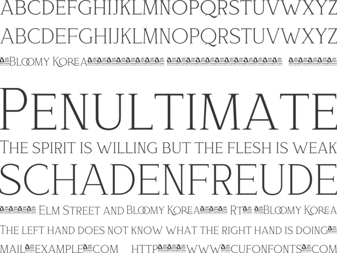 Bloomy Korea font preview