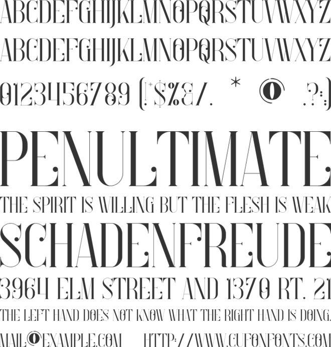 Rochelle font preview