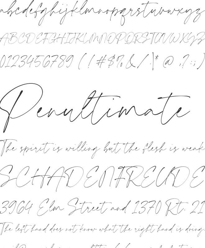Timeless Prestige font preview