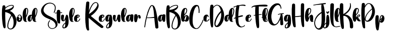 Bold Style Regular font
