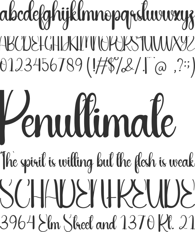 Spring Wedding font preview