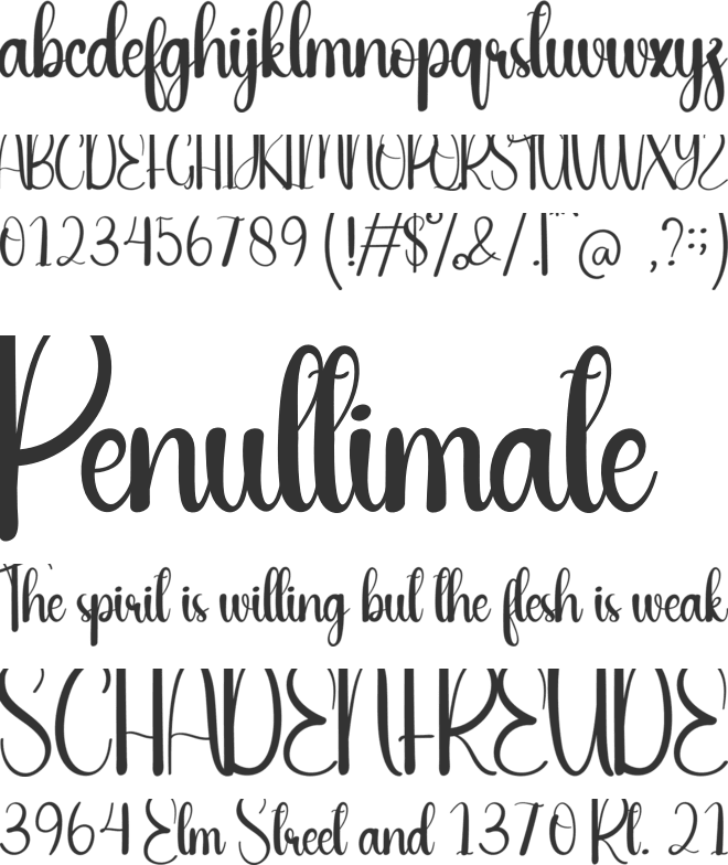 Spring Wedding font preview