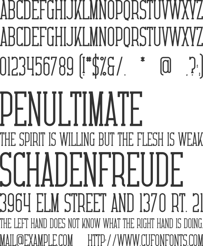 Shivani font preview