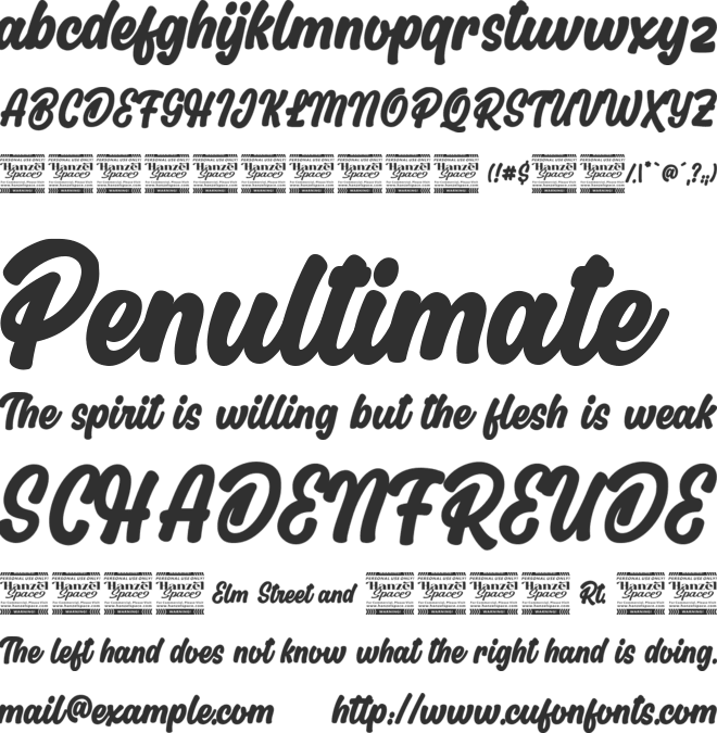 Flicker Calligraphy font preview