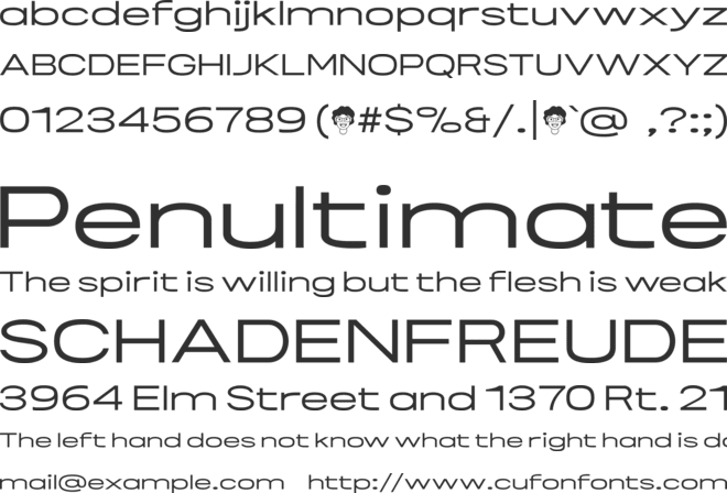 TF Ponetone Expanded font preview