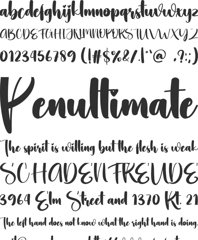 Boom font preview