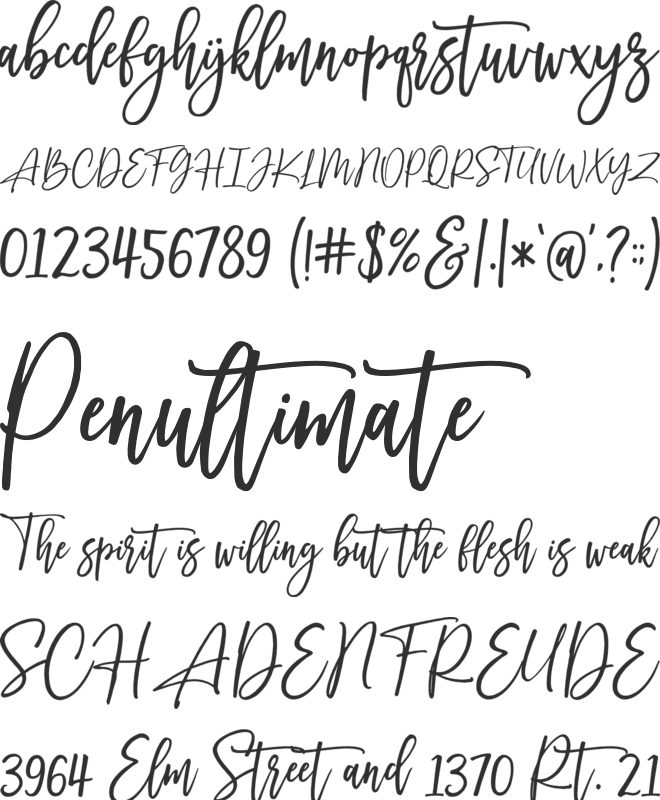 Sidenty font preview