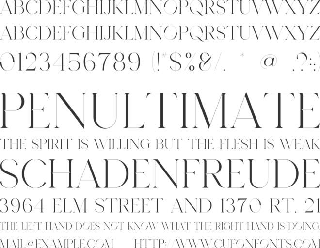 Ashina font preview