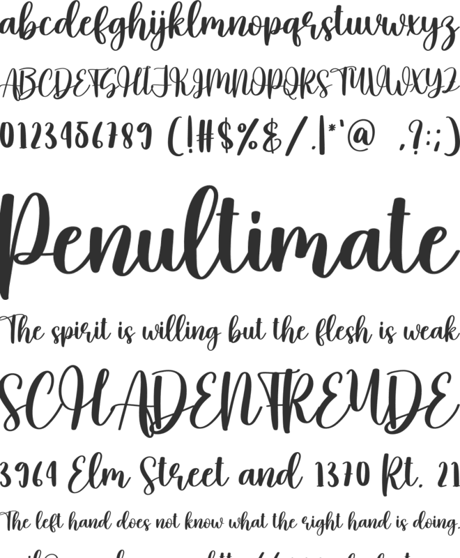 Cashew font preview