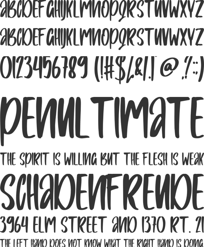 Bilnesa font preview