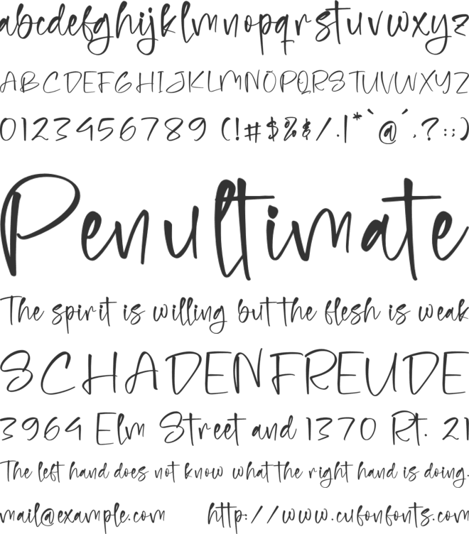 Bondisha Shelotta font preview