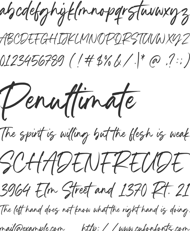 Southern Paradise font preview