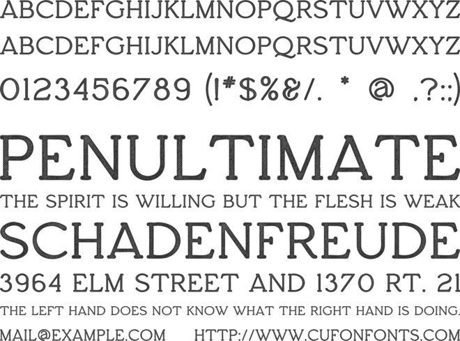 Constance font preview