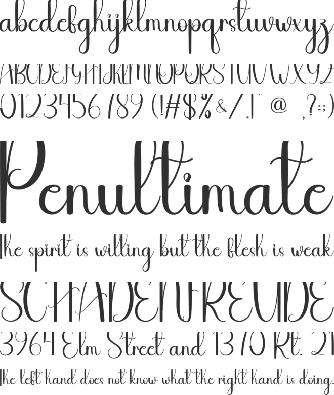 Translite font preview