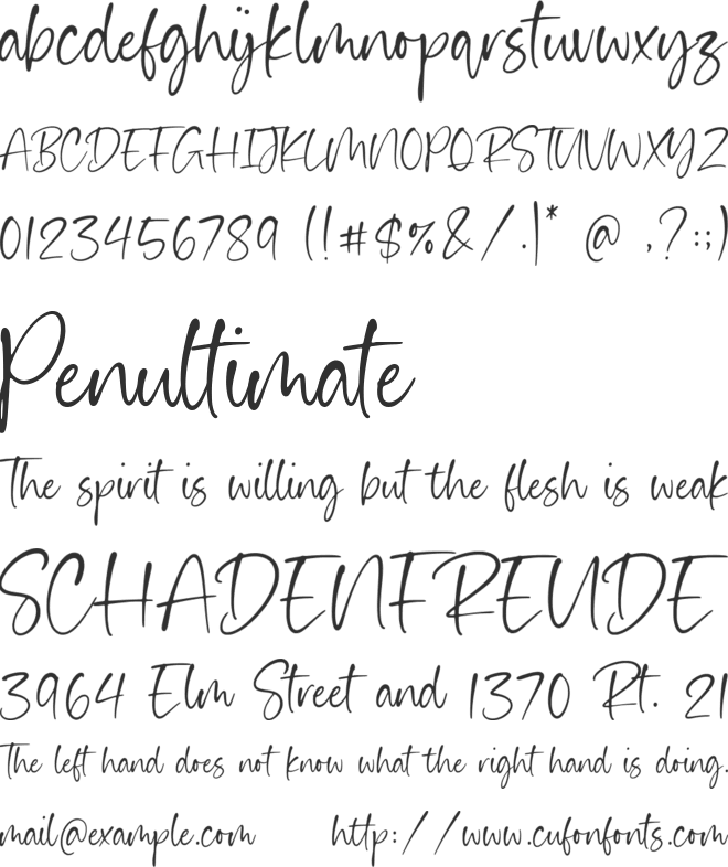 Haiden Smith font preview