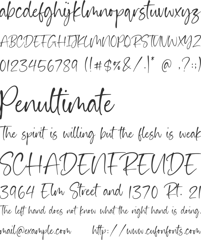 Haiden Smith font preview