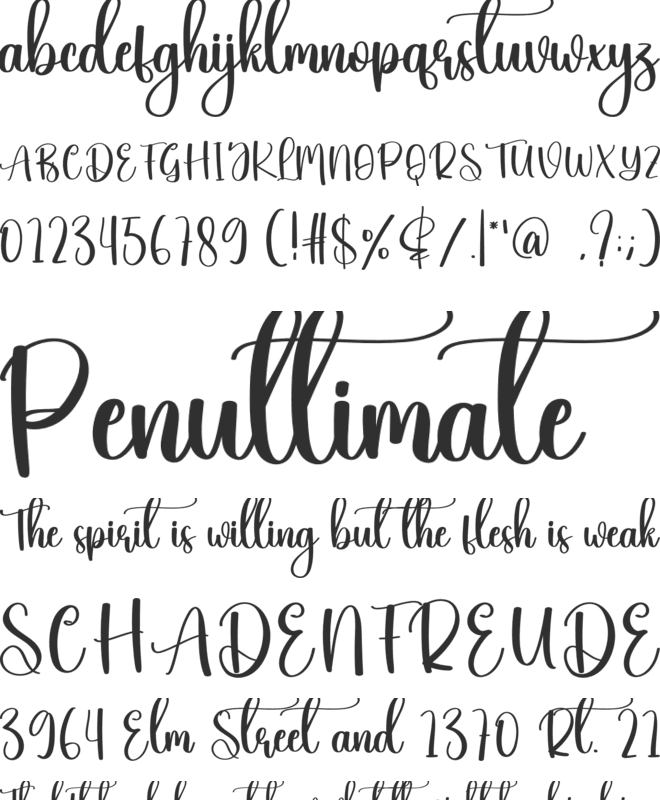 Library font preview