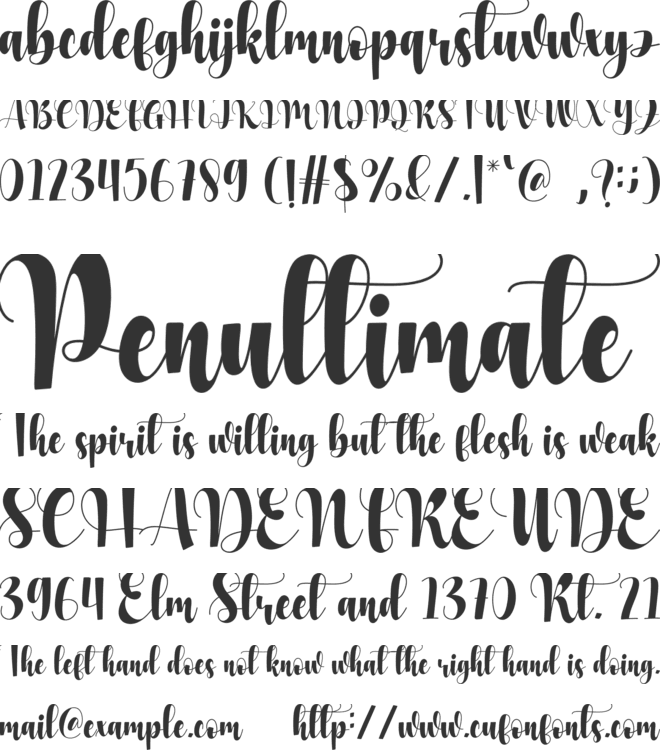 Anika font preview