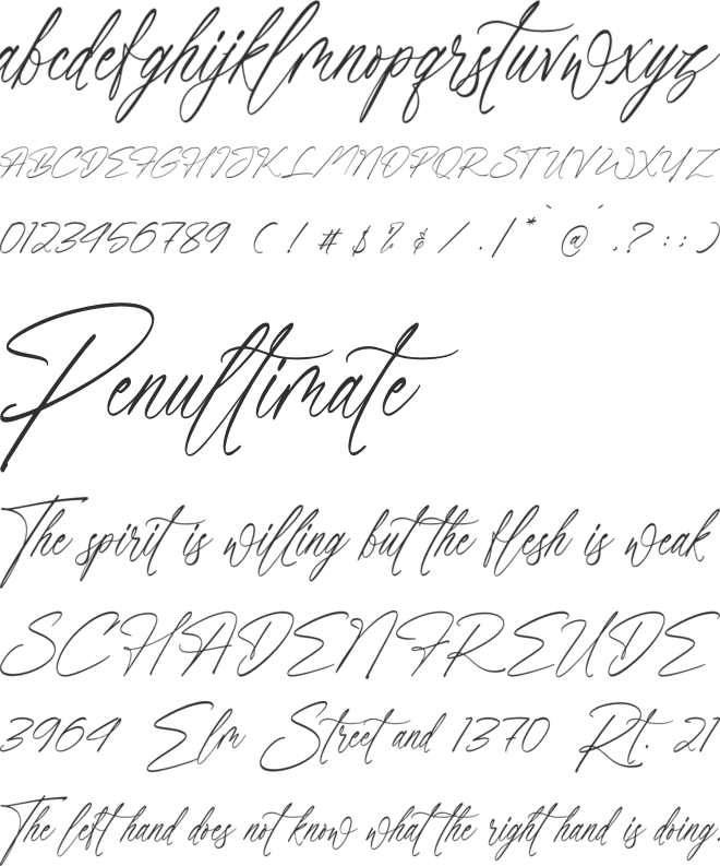 Flawvess font preview