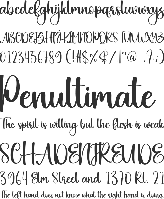 Summary font preview