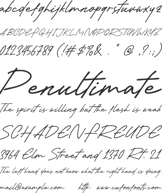 Winter Sunday font preview